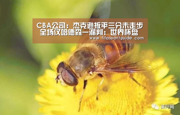 世界杯投注