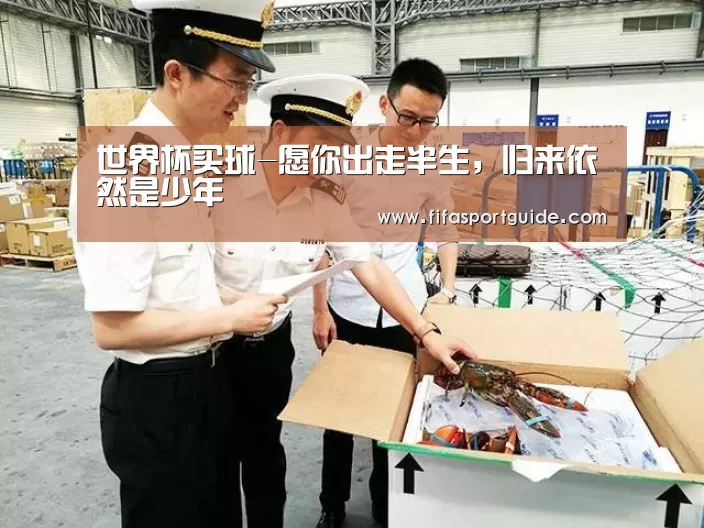 世界杯买球